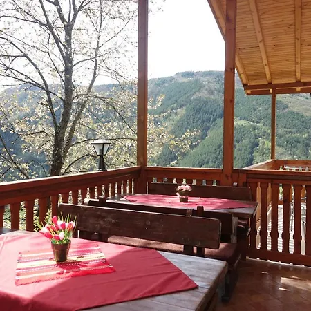 горски кът Devin